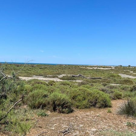 Residence L'Oiseau Des Sables Σαιντ-Μαρί-ντε-λα-Μερ Εξωτερικό φωτογραφία